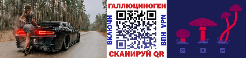 Галлюциногенные грибы MAGIC MUSHROOMS  цена   мега ССЫЛКА  Адыгейск 